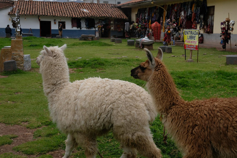 Cusco Histórico Inkas Tour de la ciudad a pieTour a pie por el Cusco histórico y los Incas