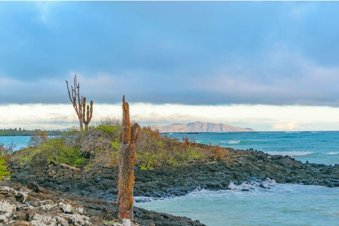 Galápagos: Santa Cruz - Tour Playa El Garrapatero