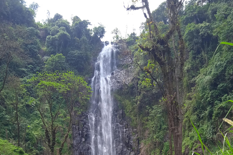 Moshi: Materuni Waterfall and Kikuletwa Hot Springs Day …