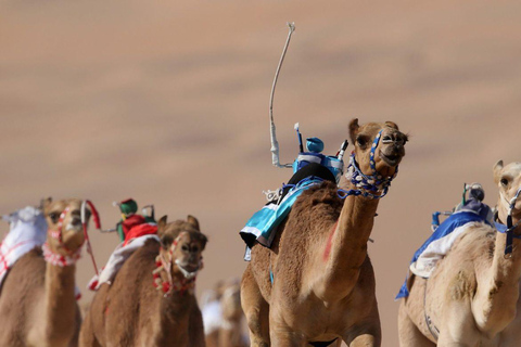 Doha: Pista de corrida de camelos e tour particular pela costa oestePista de corrida de camelos e passeio pela costa oeste