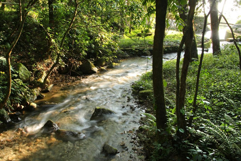 Katmandú: excursión de un día al Parque Nacional de ShivapuriExcursión a Shivapuri con guías y aperitivos incluidos.
