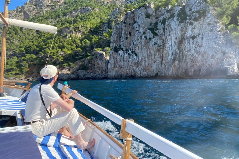 Tour privato della costa invernale: Tour panoramico in barca della durata di 2,5 ore