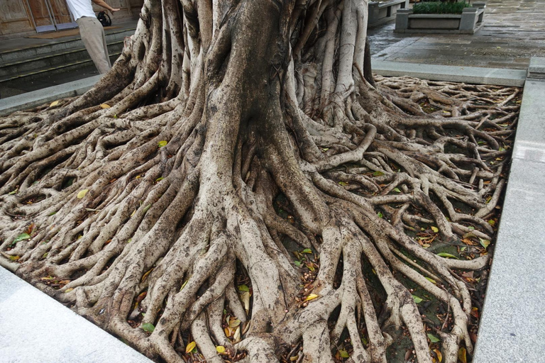 Guangzhou: Temple of the Six Banyan Trees Guided Tour