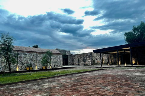 León : Visite des vignobles de Viñedo Leones et exploration du centre ville