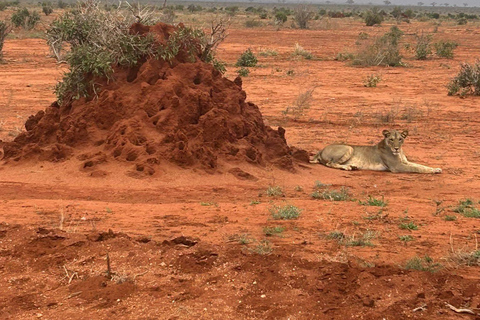 Mombasa: 3-Day Tsavo East/West & Kilimanjaro Views Safari