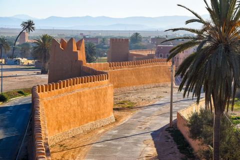 Excursão privada de um dia a Taroudant oissis Tiout com almoço