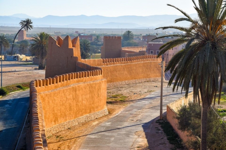 Private Day Excursion To Taroudant oissis Tiout With Lunch