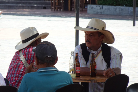 From Medellín: Santa Fé de Antioquia Private Day Trip