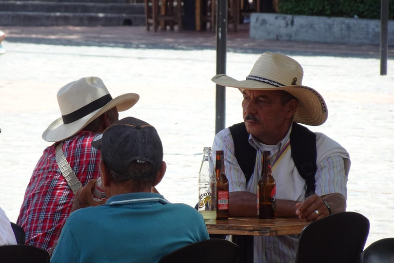 From Medellín: Santa Fé de Antioquia Private Day Trip