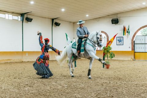 Málaga: Andalusian Horse Show with Flamenco Music