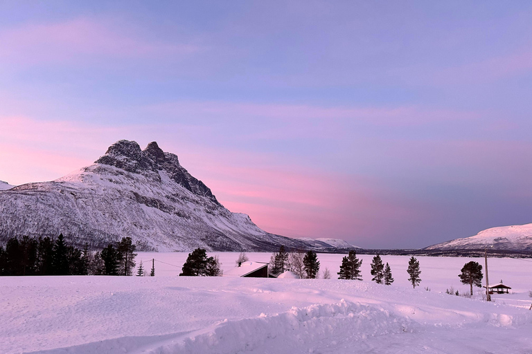 Narvik/Harstad : Excursion d&#039;une journée dans les Fjords avec arrêt à la ferme des rennes