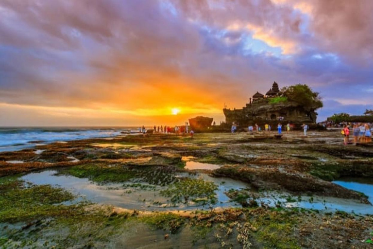 Bali: Tour delle colline nascoste, delle cascate e dei templi di Wanagiri