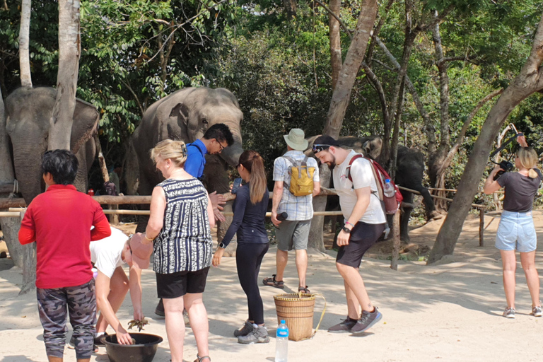 Kulen Elephant Forest & Tonlesap Lake Kulen Elephant Forest by Sharing Group Tours