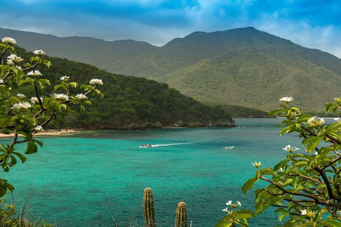 Parc Tayrona : Excursion en groupe à la baie de Concha