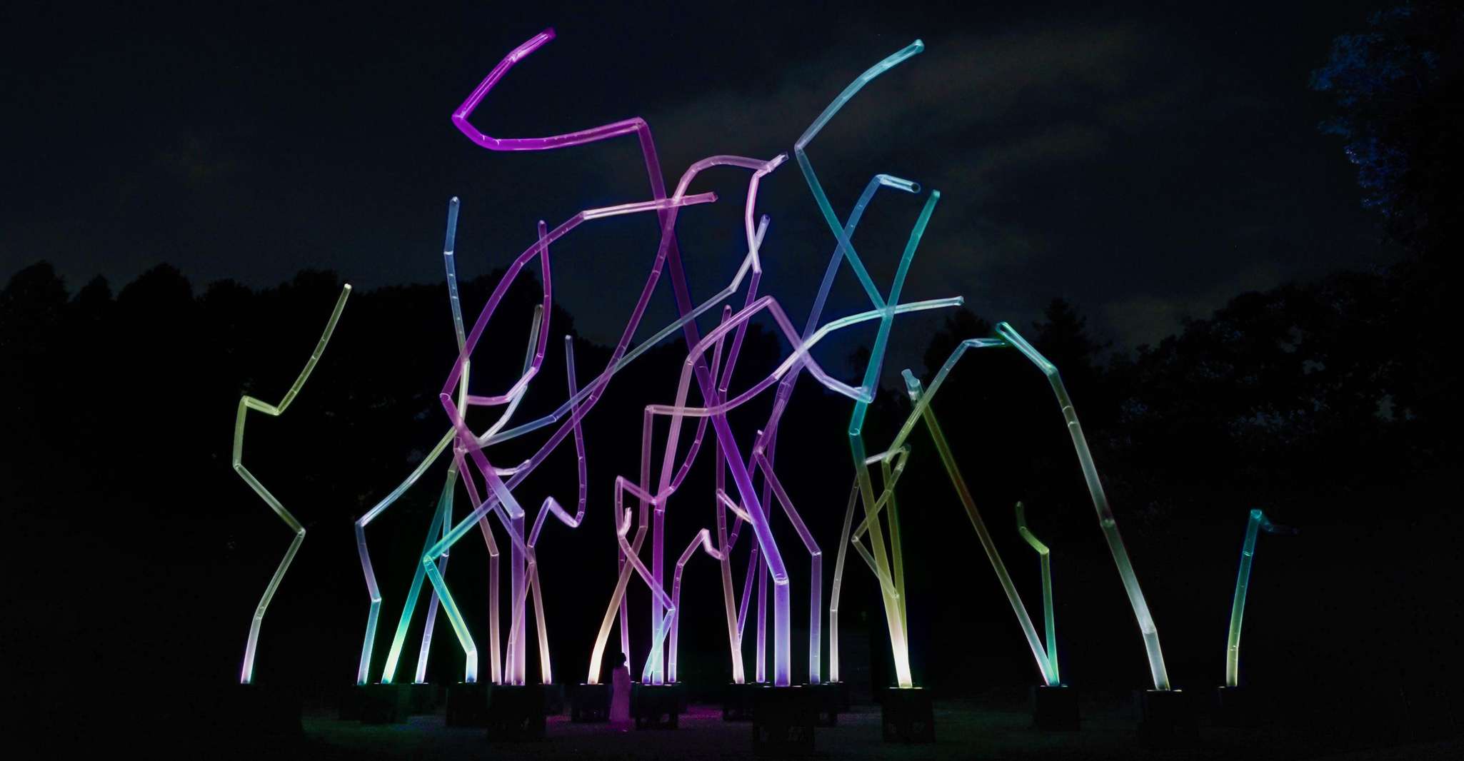 Osaka: teamLab Botanical Garden Entry Ticket photo 4