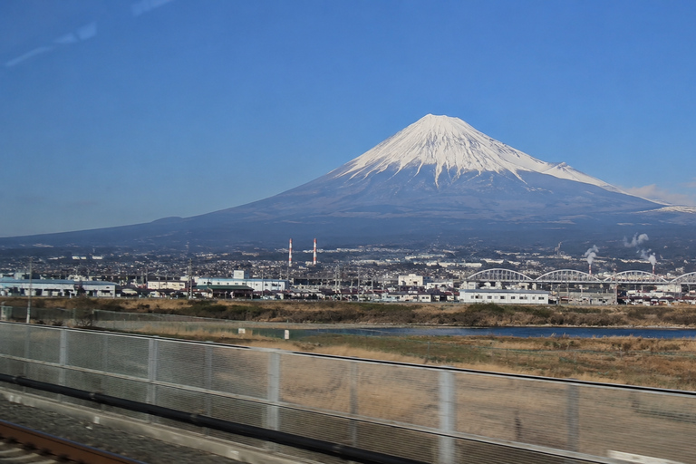 Fuji & Hakone Private Car Tour with Bullet Train Return
