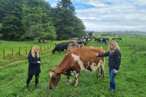 Sheep & Beef Working Farm Private Tour