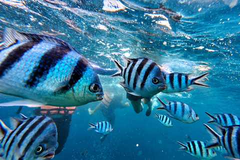 From Puerto Princesa: Port Barton 4D3N Island & Land Tour