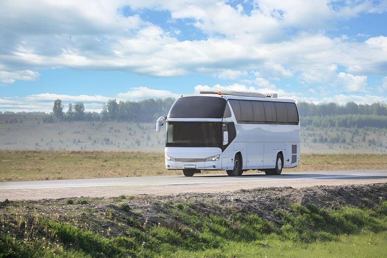 From Ha Noi: Transporation to Hoi An by Limousine bus