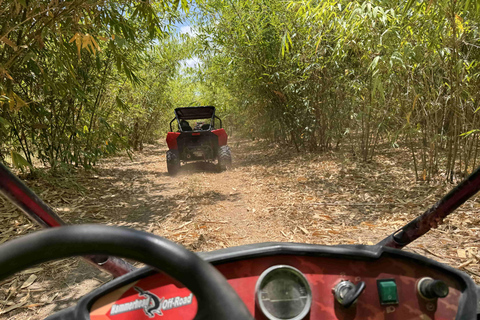 Bamboo Dune Buggy Tour