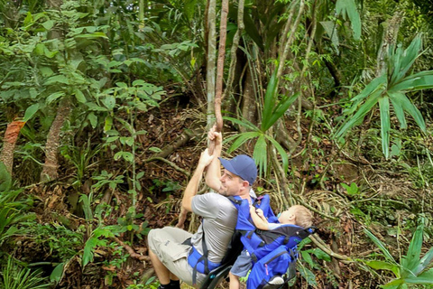 Panama: Tour dell'habitat della giungla delle scimmie e dei bradipi a Panama