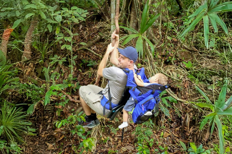 Panama: Tour dell'habitat della giungla delle scimmie e dei bradipi a Panama