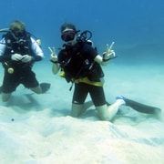 Koh Samui: Discover Scuba Diving Koh Samui: Discover Scuba Diving