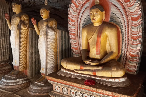 De Colombo: Excursão a Sigiriya e Dambulla com um Safari