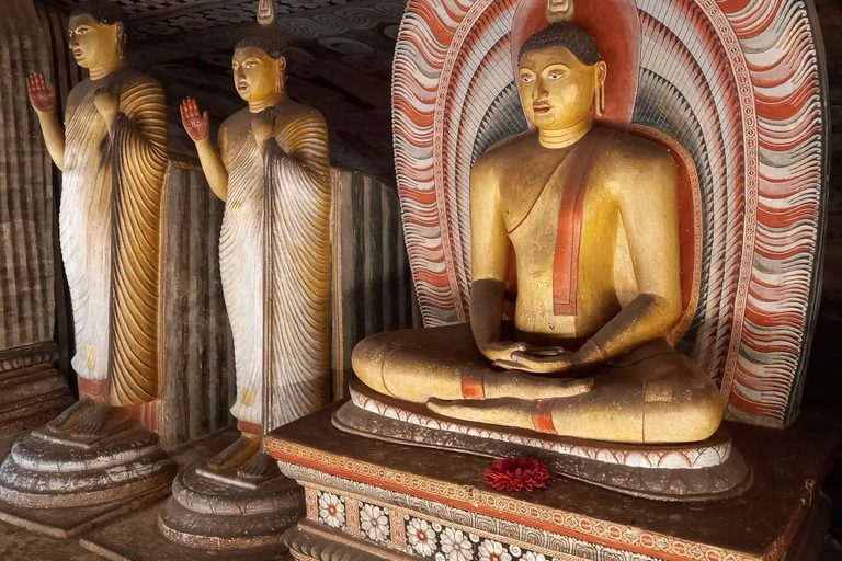 Vanuit Colombo: Sigiriya &amp; Dambulla excursie met een safari