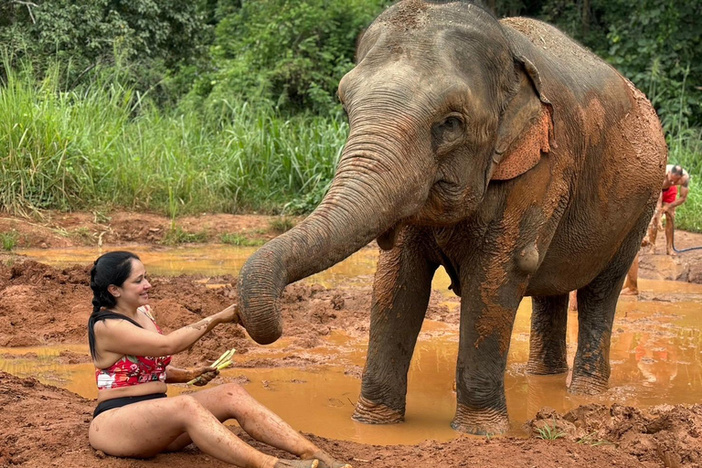 Chiang Mai: Santuário de elefantes, cascata e excursão de raftingPonto de encontro na cidade