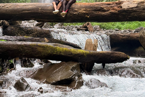 Lombok Private tour : Sendang Gile & Tiu Kelep Waterfall Special Option For Group Tour