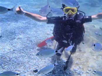 Tour delle immersioni subacquee di Antalya/Belek con 2 immersioni a tempo e pranzo