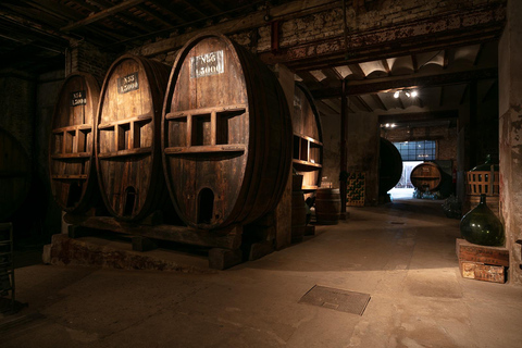 Montevideo: Premium Wine Tasting in a Centennial Winery (1892) Montevideo: Premium Wine Experience at Adega Centenária