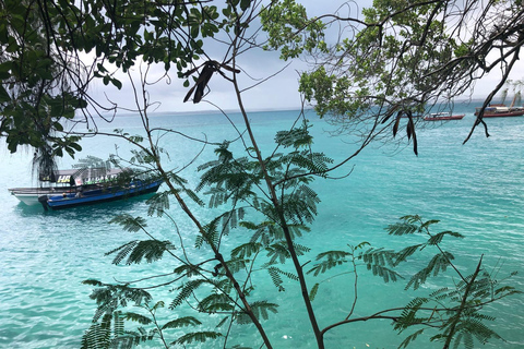 Zanzibar : visite de l'île-prison, de Stone Town et de la ferme aux épicesVisite privée : Île-prison, Stone Town et ferme d'épices