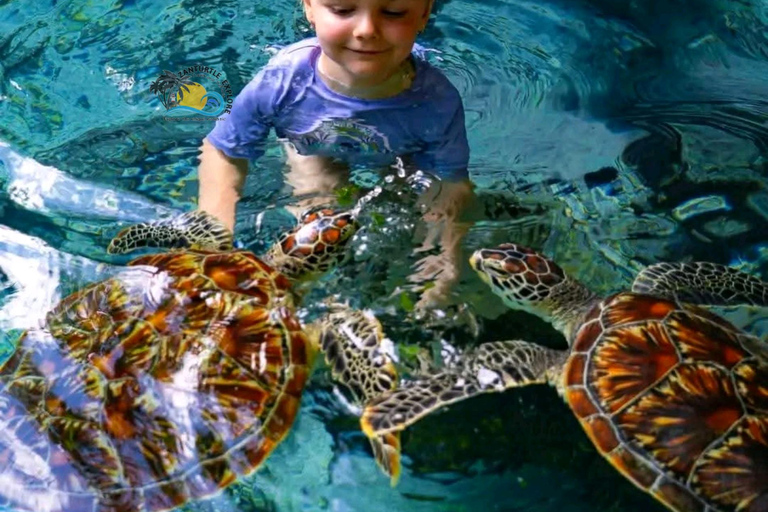 Zanzibar: Jozani Forest & Salaam Cave Sea Turtles Tour Private Self Transfer Experience