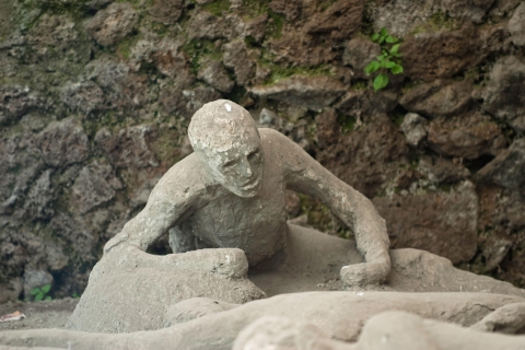 Naples and Pompeii smart day tour from Rome: entrance ticket Classic Option and Audioguide