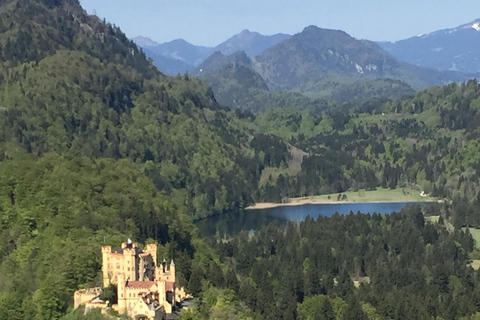 Een late privétour Neuschwanstein vanuit München