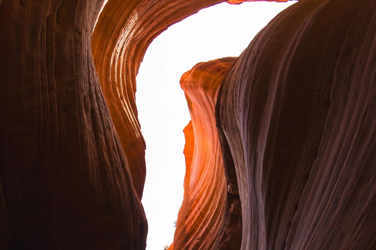 Kanab: Peek-A-Boo and Great Chamber UTV Guided Tour