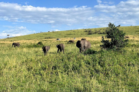 Nairobi: 3-Day epic trip to Maasai Mara Reserve with meals 3 days, 2 nights private safari to Mara in a tourist VAN