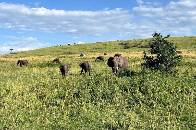 Nairobi: 3-Day epic trip to Maasai Mara Reserve with meals 3 days, 2 nights private safari to Mara in a tourist VAN