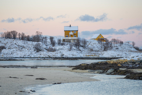 Tromsø: Kvaløya Island and Fjords Tour