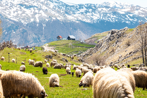 Lukomir Hike: Mountain Panorama, Village Life, and Local Lunch Included Lukomir Hiking Tour: Mountain Views, Village Life & Local Lunch