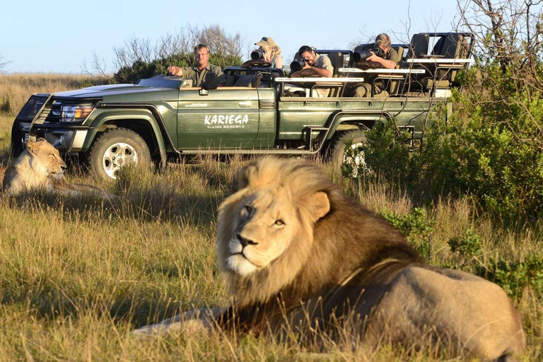 Da Zanzibar: Safari di un giorno nella Selous Game Reserve con volo