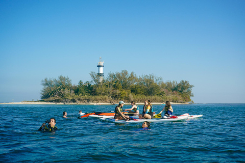 Stand-up Paddle & Kayak Tours in Veracruz