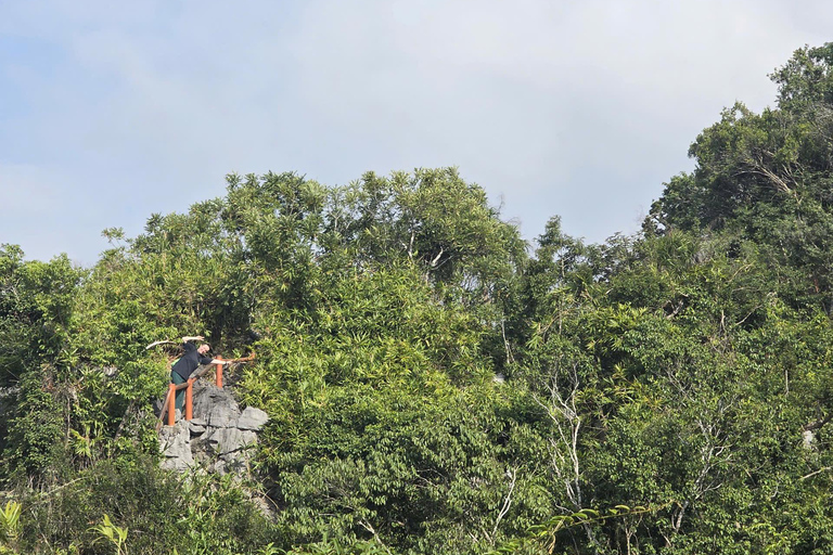 Half day Hiking Cat Ba National Park With guide