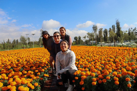 Tour in kayak a Xochimilco: campi di calendula e sapori del giorno dei mortiTour in kayak all'alba a Xochimilco
