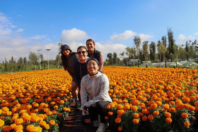 Tour in kayak a Xochimilco: campi di calendula e sapori del giorno dei mortiTour in kayak all'alba a Xochimilco