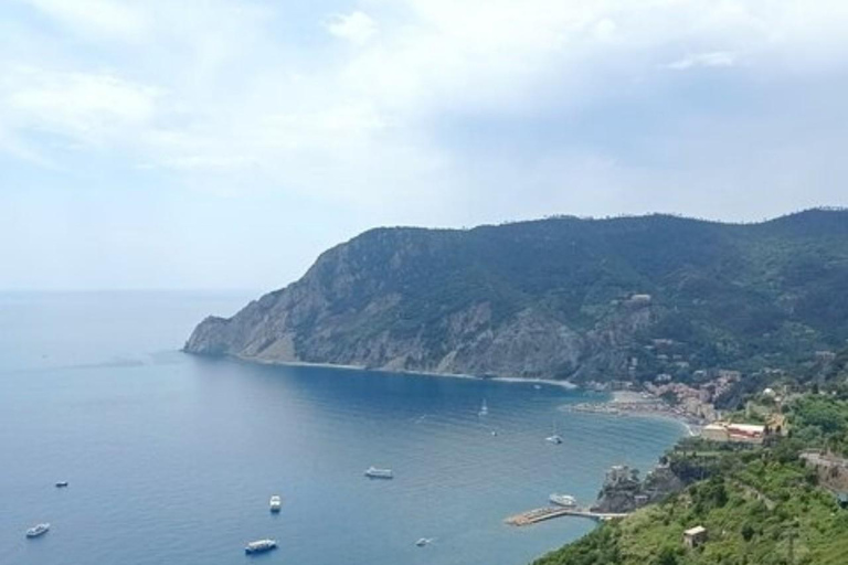 From Livorno: Accessible Cinque Terre and Pisa Private Trip