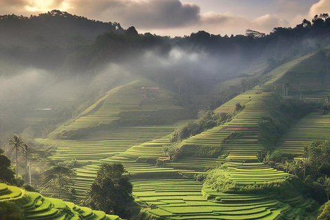Ubud Tour: Monkey Forest, Tegalalang Rice Terrace, & temple