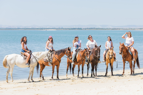 Reiten am Strand - PDTReiten am Strand in der Gruppe